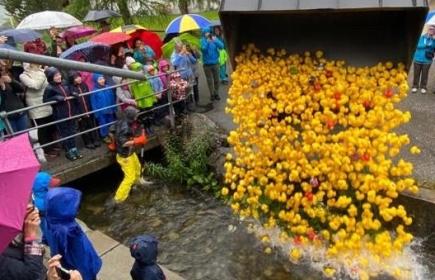 1000 Entern gehen auf den Weg